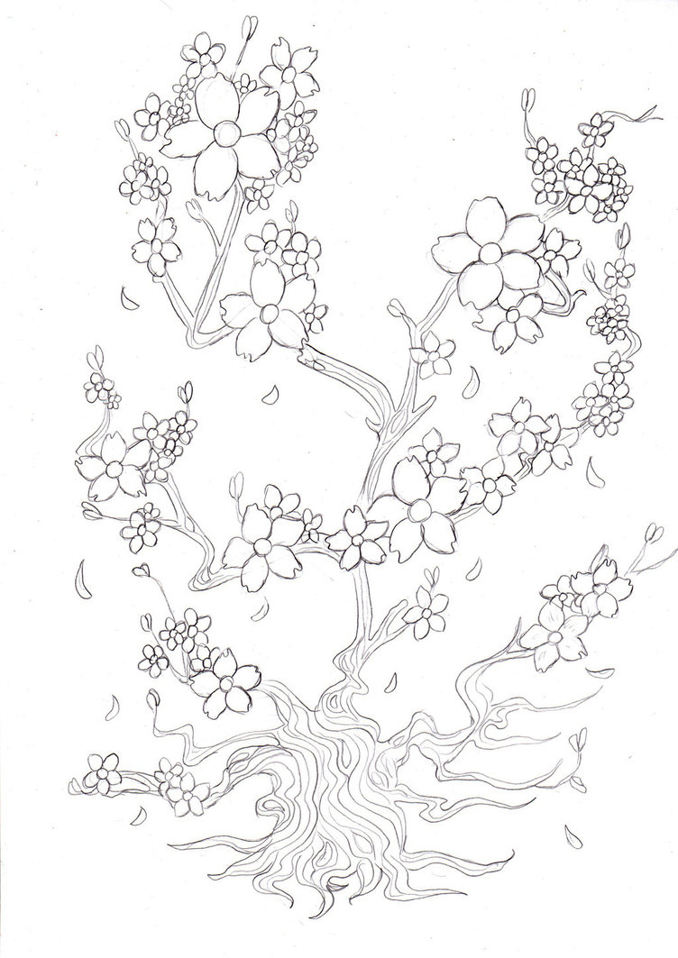 Cherry Blossom Tree Drawing Outline at PaintingValley.com | Explore