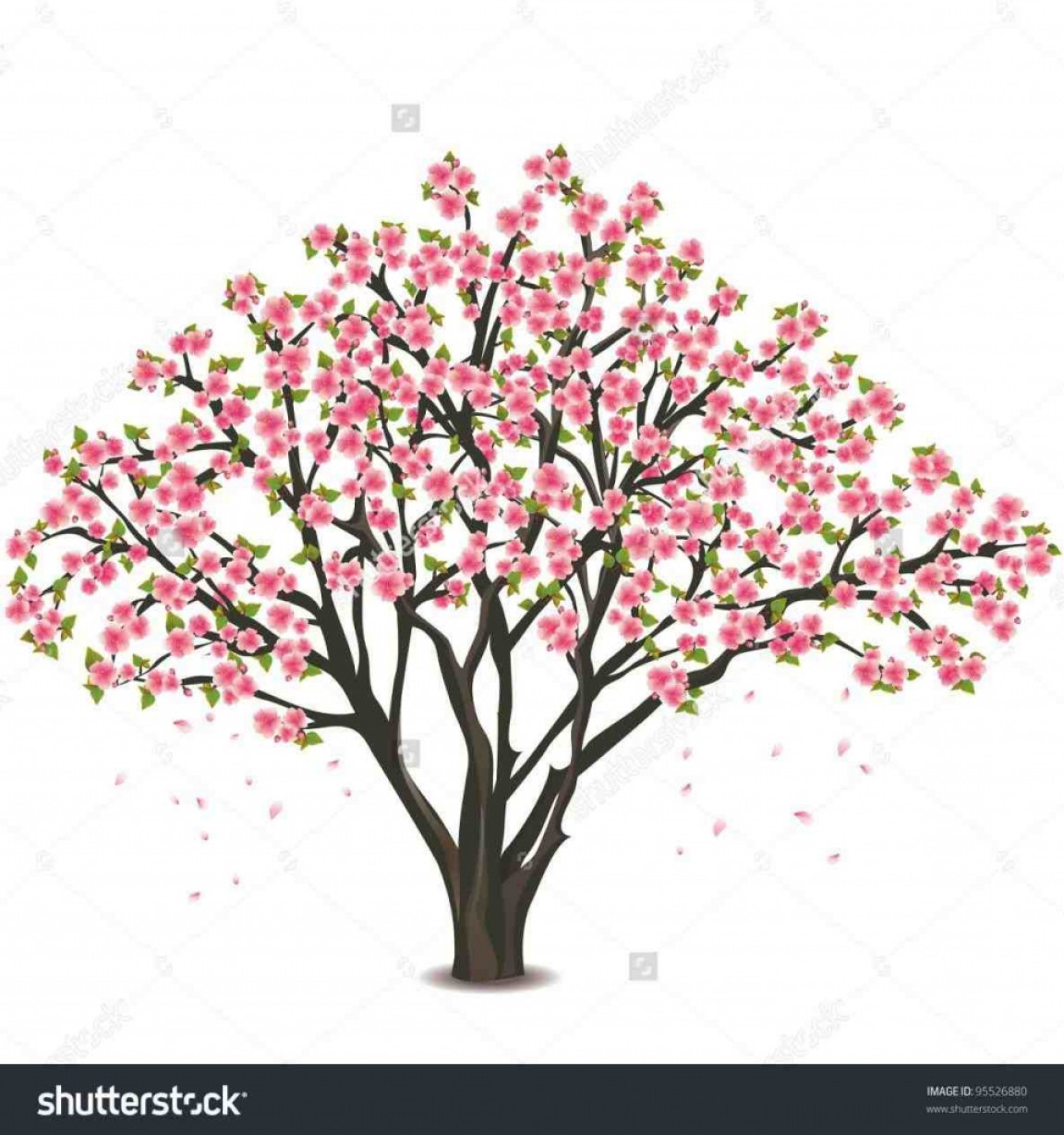 Cherry Blossom Tree Drawing Outline at Explore