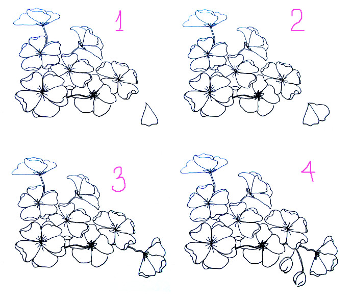 690x590 Cherry Blossom Watercolor Painting - Cherry Blossom Tree Drawing Step By Step