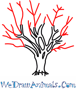 300x350 How To Draw A Cherry Tree - Cherry Blossom Tree Drawing Step By Step