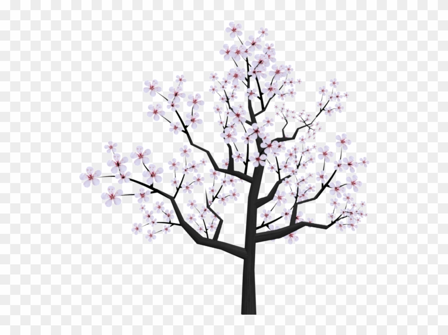 880x659 Cherry Tumblr At Getdrawings - Cherry Blossom Tree Drawing Tumblr