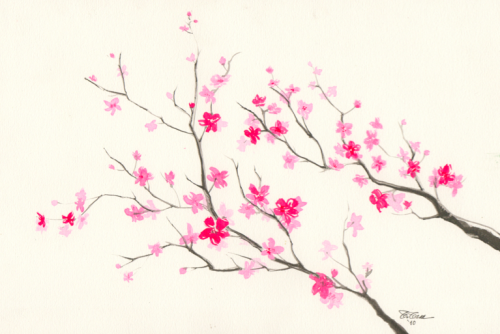 Cherry Blossom Tree Drawing Tumblr at PaintingValley.com | Explore ...