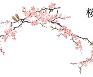 300x250 Cute Flower Drawing Gif Tumblr - Cherry Blossom Tree Drawing Tumblr