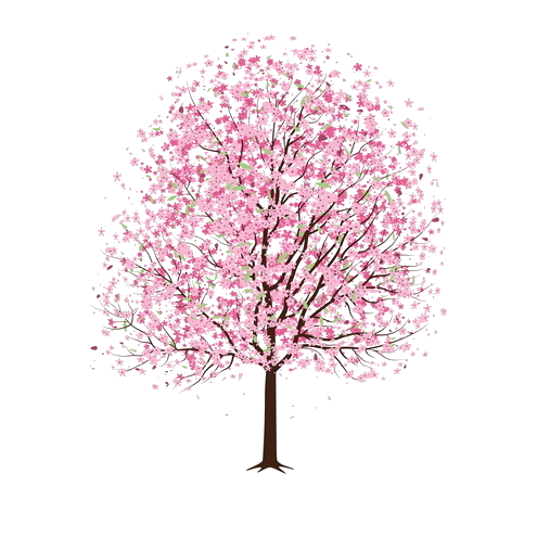 495x495 Desenhos Com Fundo Transparente Tumblr Scrapbook Cherry - Cherry Blossom Tree Drawing Tumblr