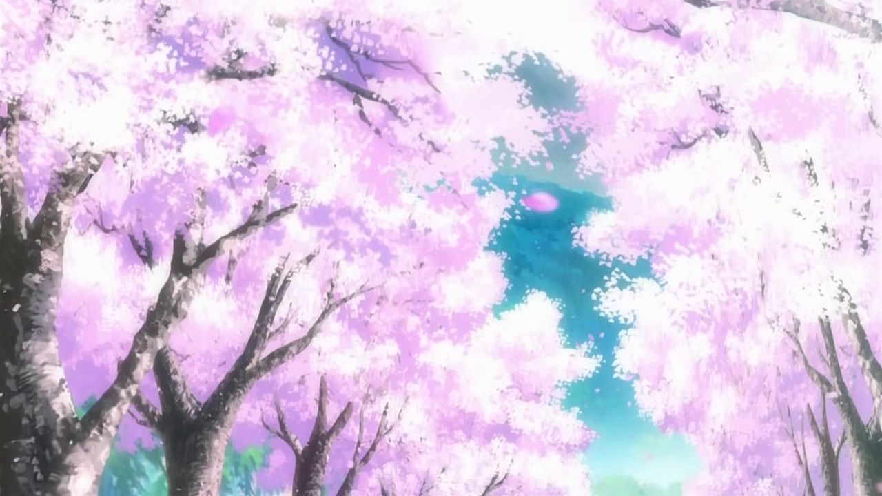 1280x720 Cherry Blossoms Anime Scenery Wallpapers - Cherry Blossom Tree Drawing Tumblr