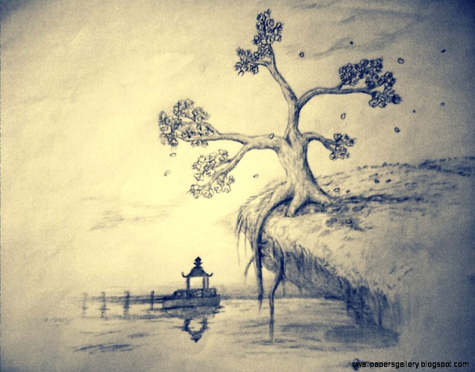 939x735 Cherry Blossom Tree Pencil Drawing Wallpapers Gallery - Cherry Blossom Tree Pencil Drawing