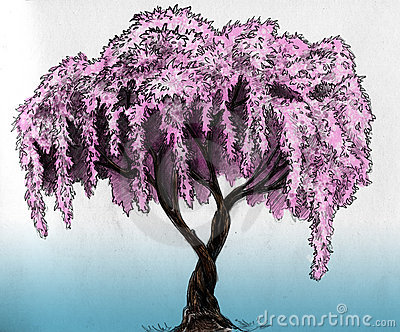 400x332 Cherry Blossom Tree Drawing - Cherry Blossom Tree Pencil Drawing
