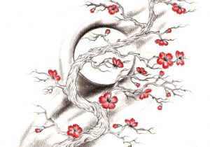 Cherry Blossom Tree Pencil Drawing at PaintingValley.com | Explore ...