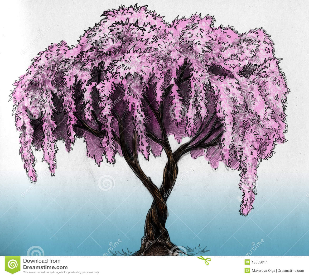 1300x1168 Cherry Blossom Tree Pencil Drawing - Cherry Blossoms Tree Drawing