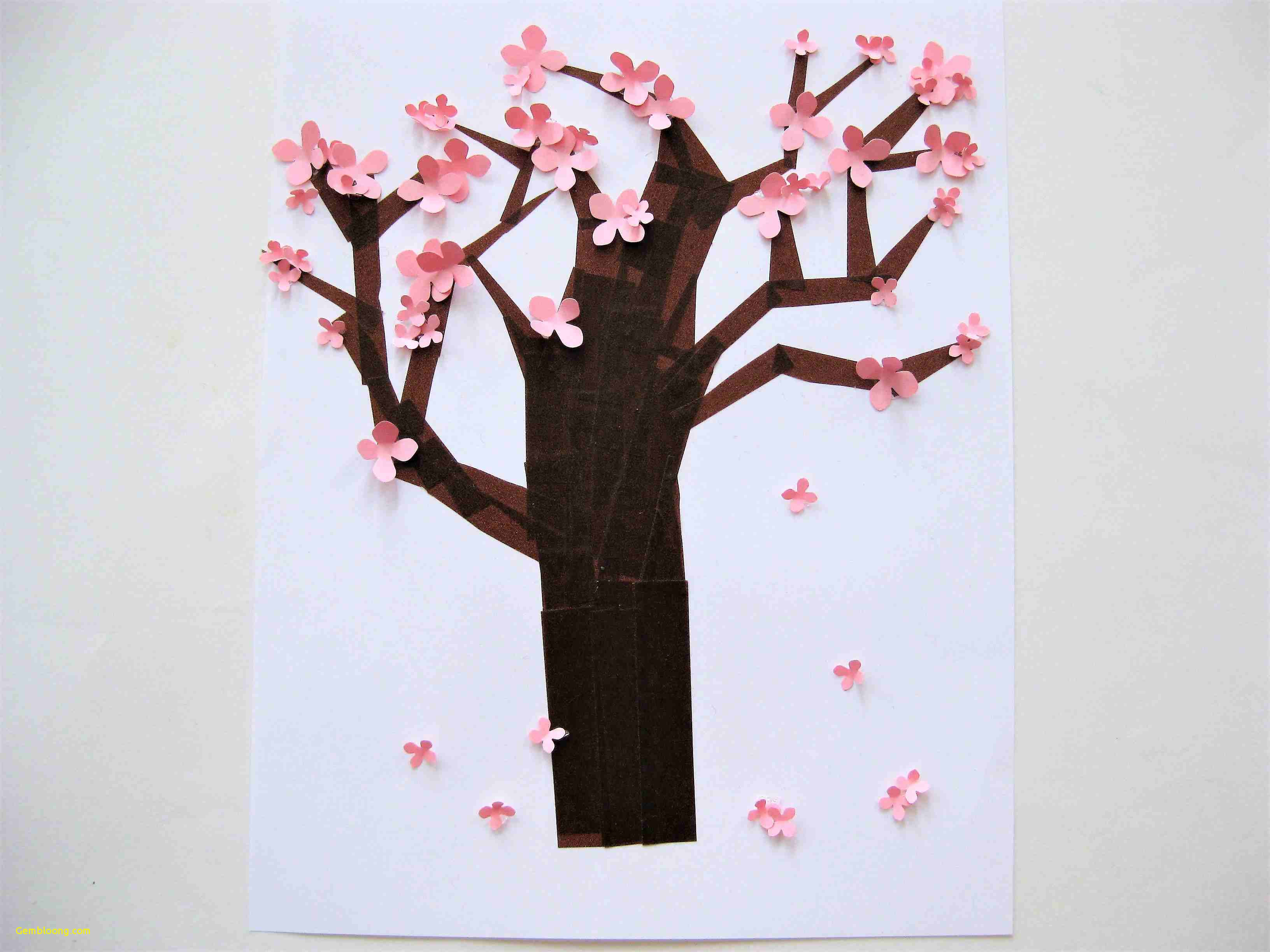 3264x2448 genuine how to draw a cherry blossom tree step - Cherry Blossoms Tree Drawing