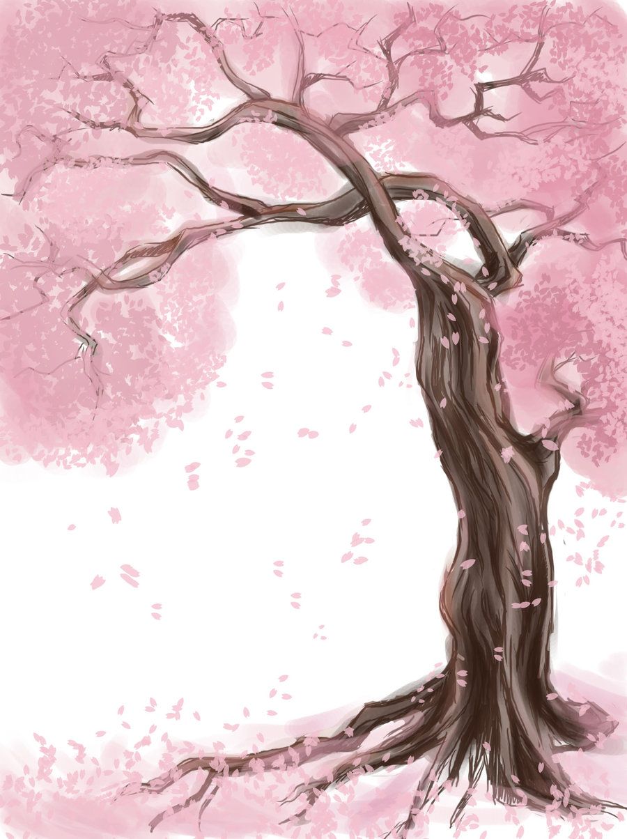 900x1204 Tree Paintings Sakura Tree - Cherry Blossoms Tree Drawing