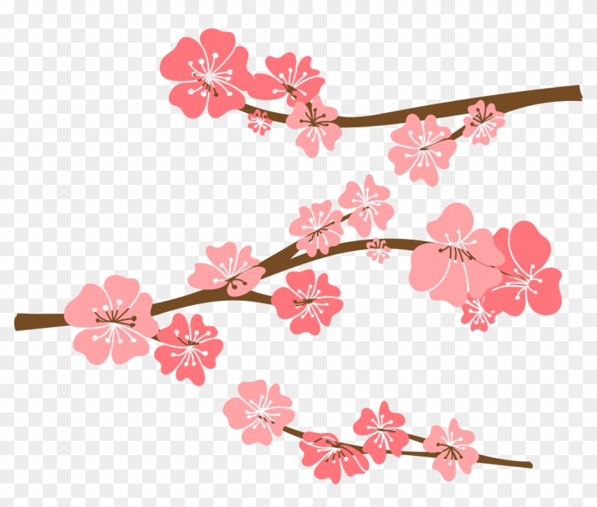 840x713 Cherry Blossom Drawing - Cherry Branch Drawing