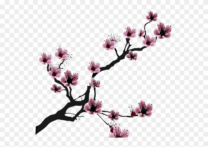 880x624 Cherry Blossom Drawing Clip Art - Cherry Branch Drawing