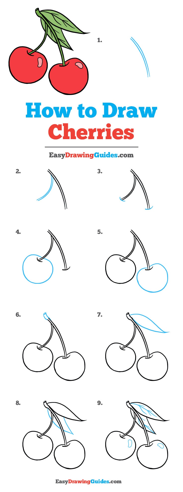 736x1973 How To Draw Cherries - Cherry Drawing