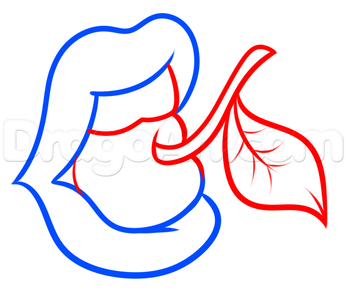 710x603 How To Draw Vintage Cherry Lips, Step - Cherry Drawing