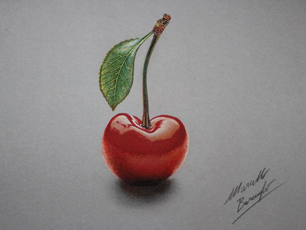 1024x768 Cherry Drawing - Cherry Drawing