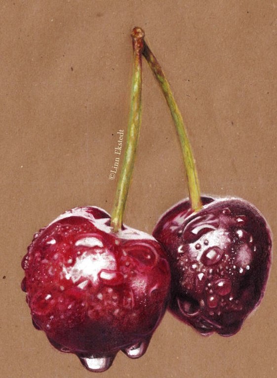 Cherry Drawing at Explore collection of Cherry Drawing