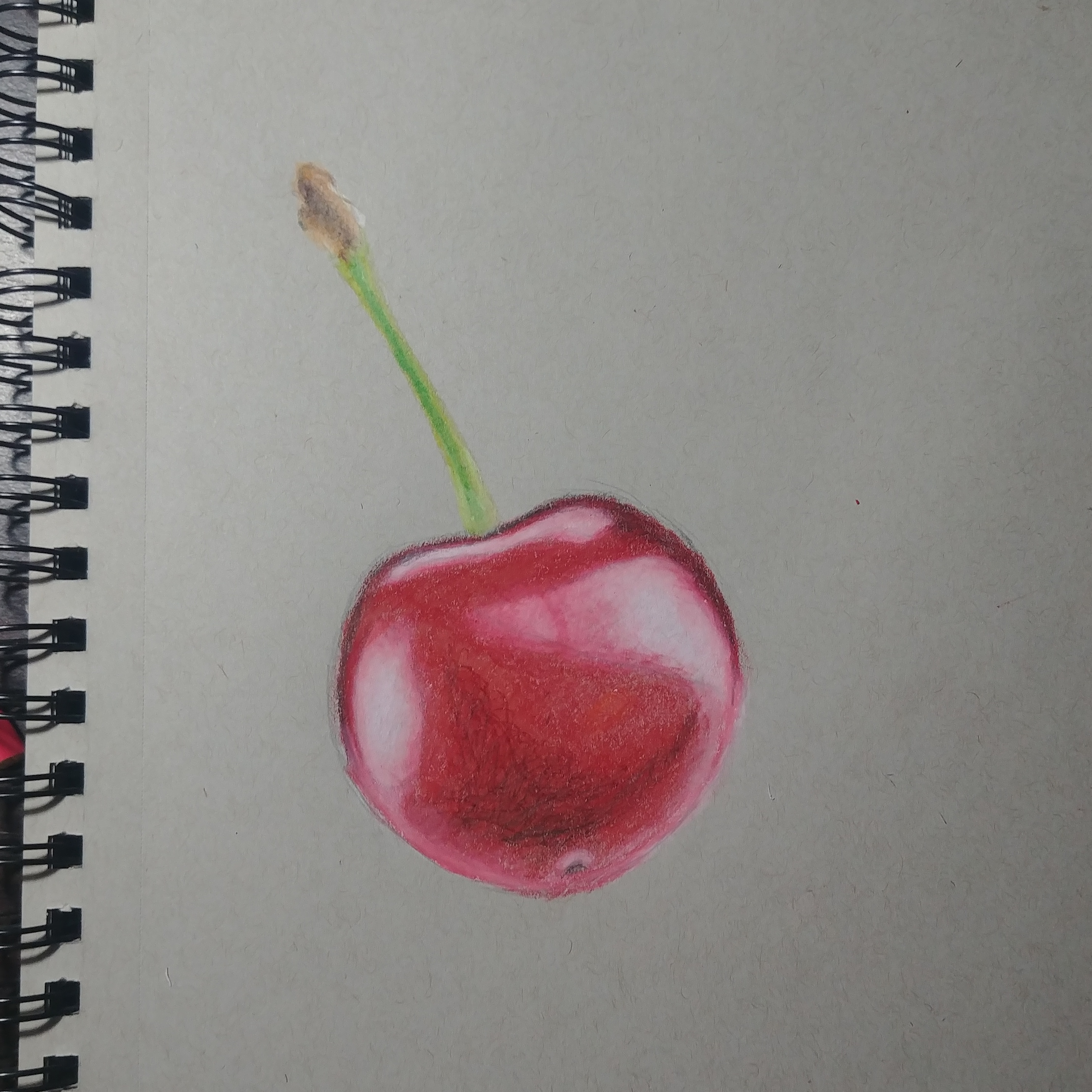 2861x2861 Color Pencils Cherry Drawing - Cherry Drawing