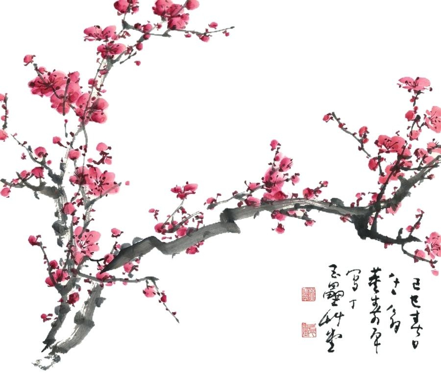 900x780 Cherry Tree Drawing Plum Blossom Painting Cherry Blossom Drawing - Cherry Tree Drawing