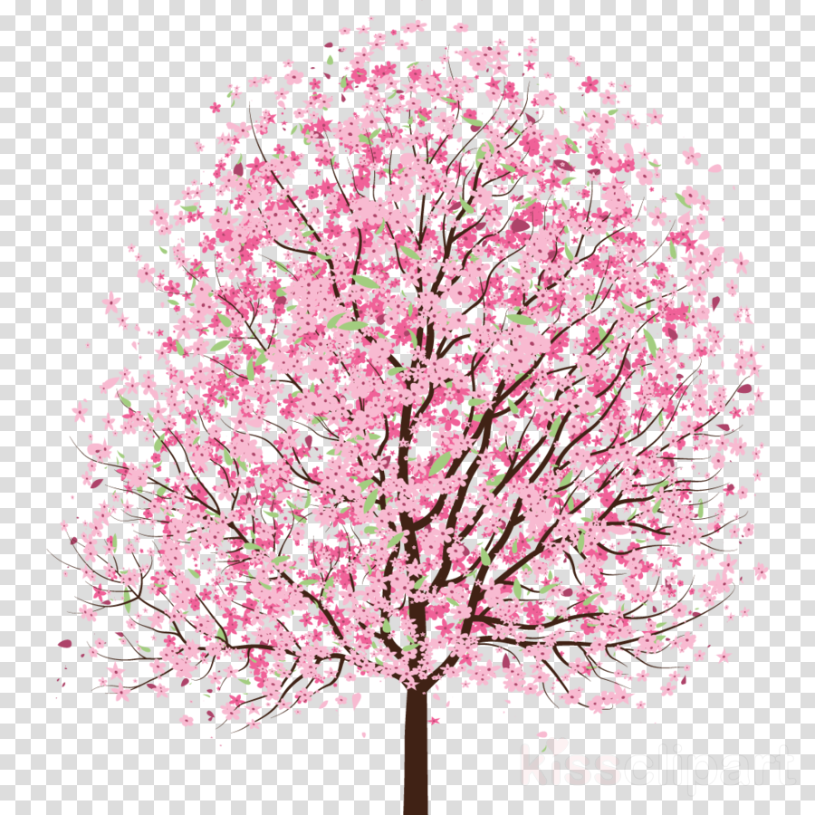 Cherry Tree Drawing at PaintingValley.com | Explore collection of ...