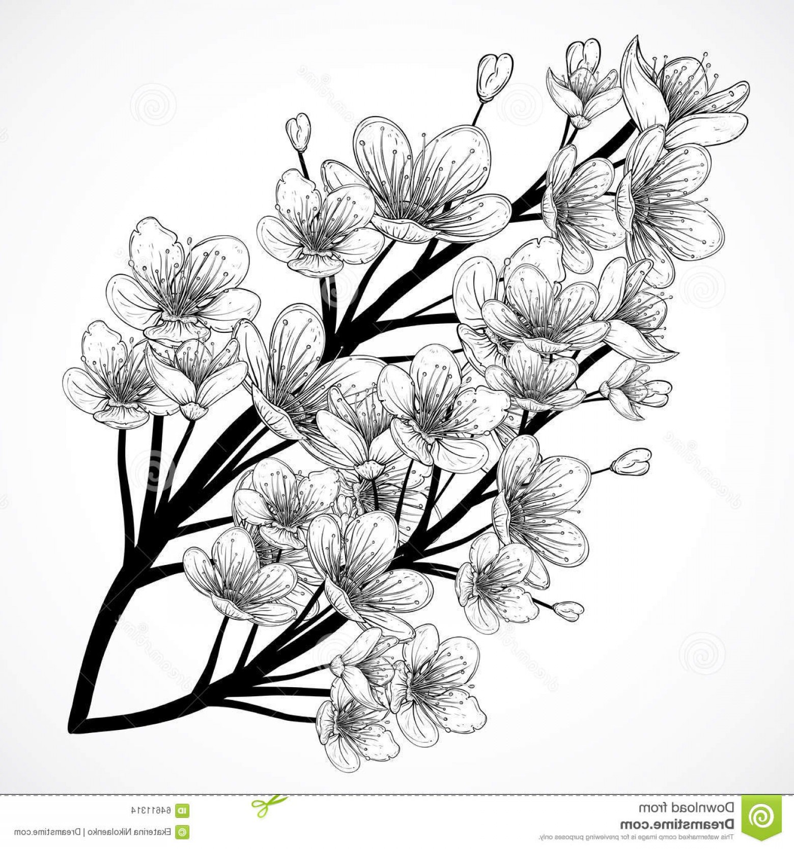 1560x1668 Sketches Of Cherry Blossom Trees Drawing Of Cherry Blossom Tree - Cherry Tree Drawing