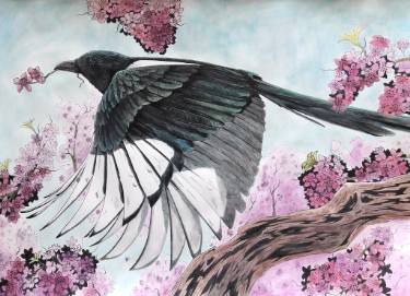 375x271 the magpie in the cherry blossoms drawing - Cherry Tree Drawing
