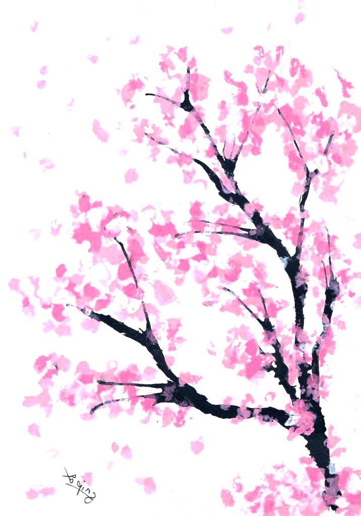 716x1024 Cherry Blossom Drawings - Cherry Tree Drawing