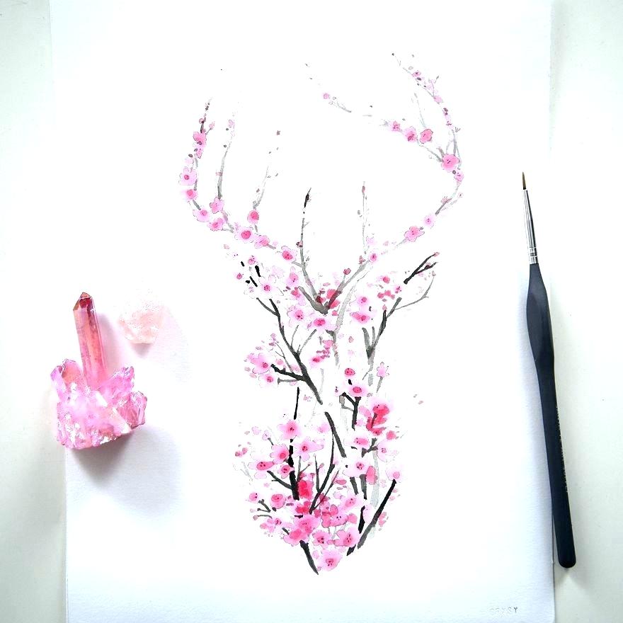 880x880 Cherry Blossom Tree Drawing How To Draw Cherry Blossoms Draw - Cherry Tree Drawing