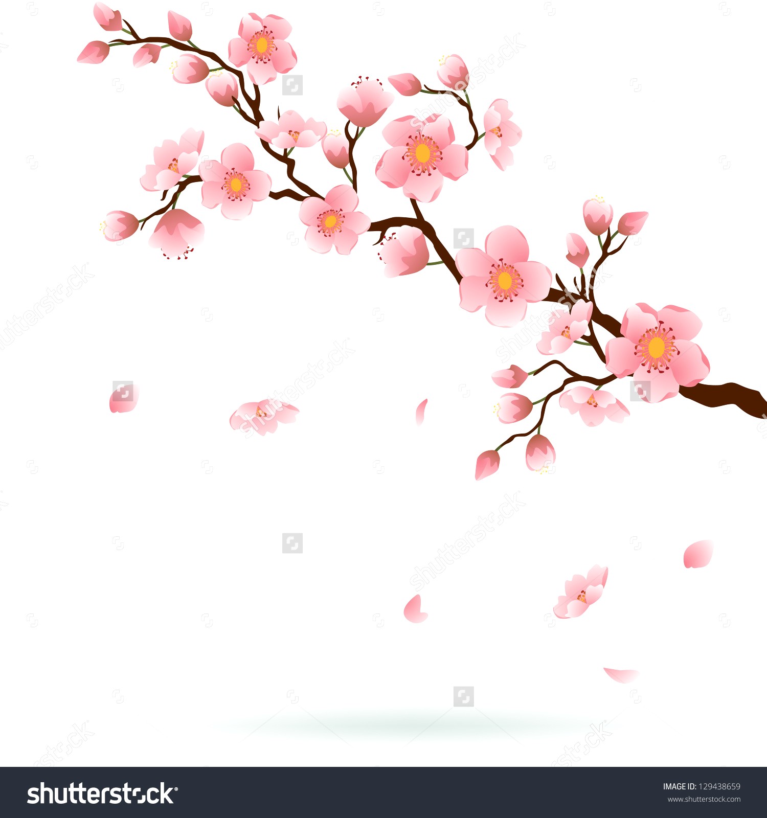 1500x1600 Cherry Blossom Tree Drawing Outline Stock Vectors Vector Clip Art - Cherry Tree Drawing