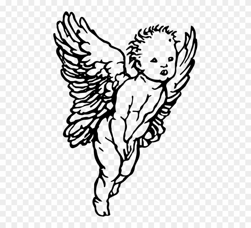 Cherub Line Drawing at Explore collection of