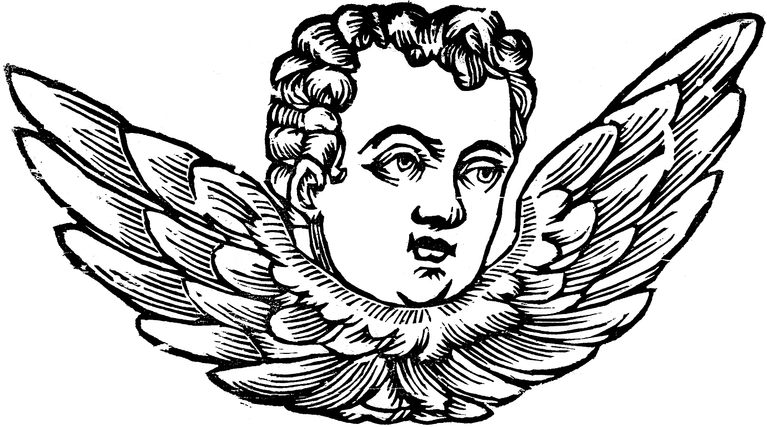 1500x835 Vintage Cherub Head With Wings Graphic! - Cherub Line Drawing