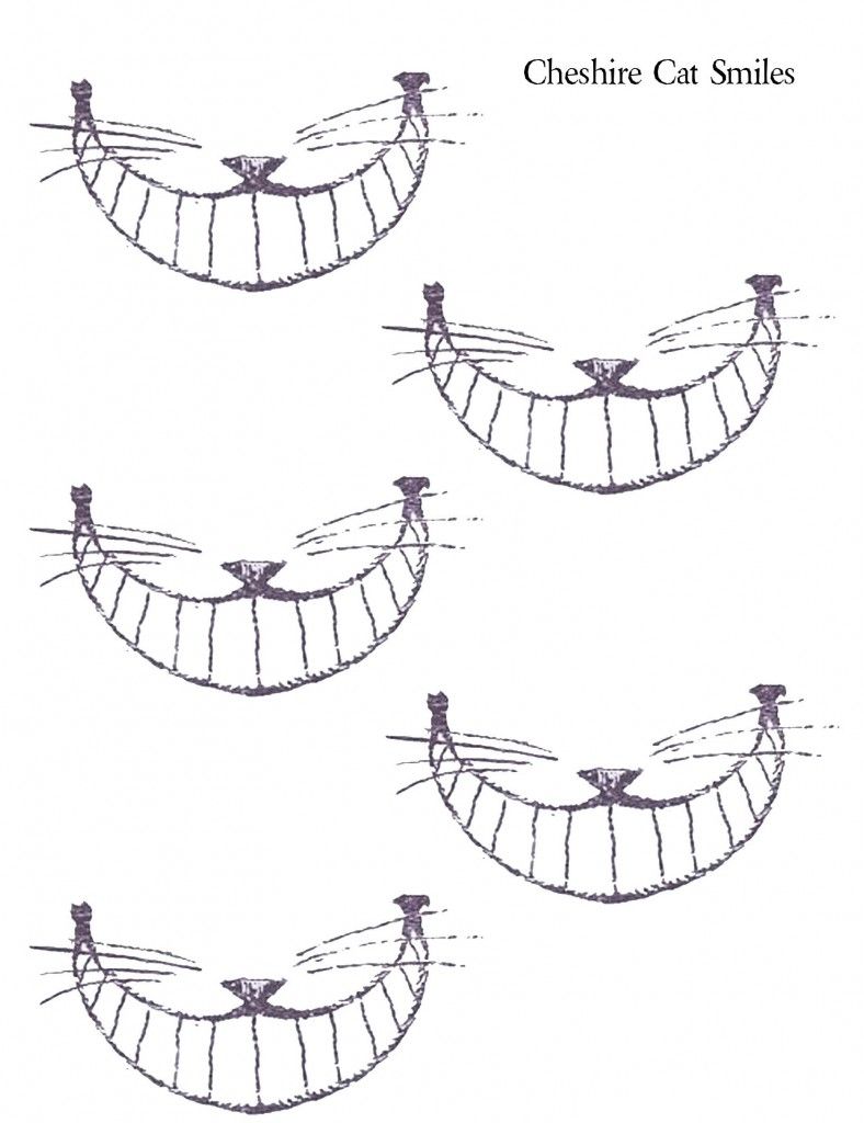 788x1024 cheshire cat smiles - Cheshire Cat Smile Drawing