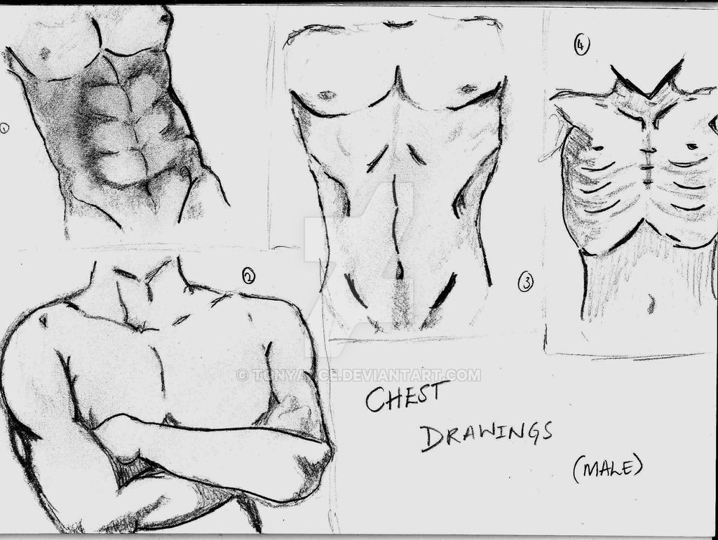 1024x770 Practice Of Chest Drawing - Chest Of Drawings