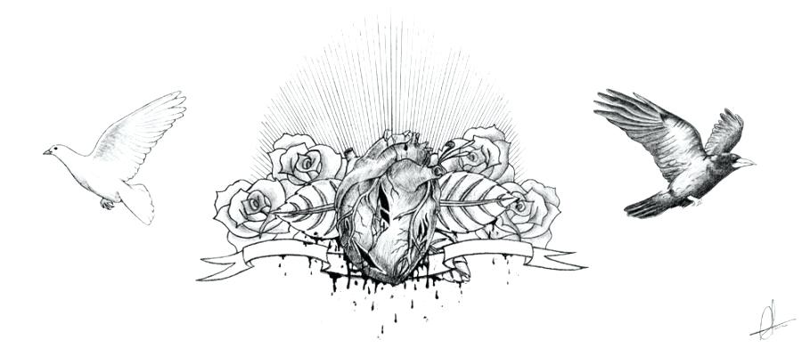 900x391 chest drawings chest of drawers from drawings vol ii artist - Chest Of Drawings