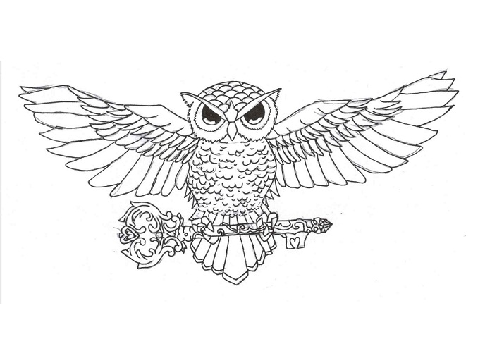 688x481 Owl Chest Tattoo Designs, Ideas And Meaning Tattoos For You - Chest Tattoo Drawings