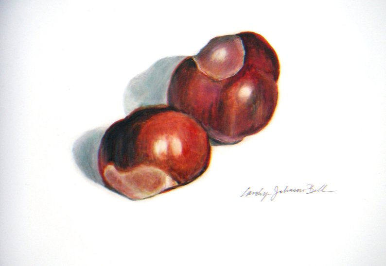 794x548 Chestnuts Original Colored Pencil Drawing On Paper Double Etsy - Chestnut Drawing