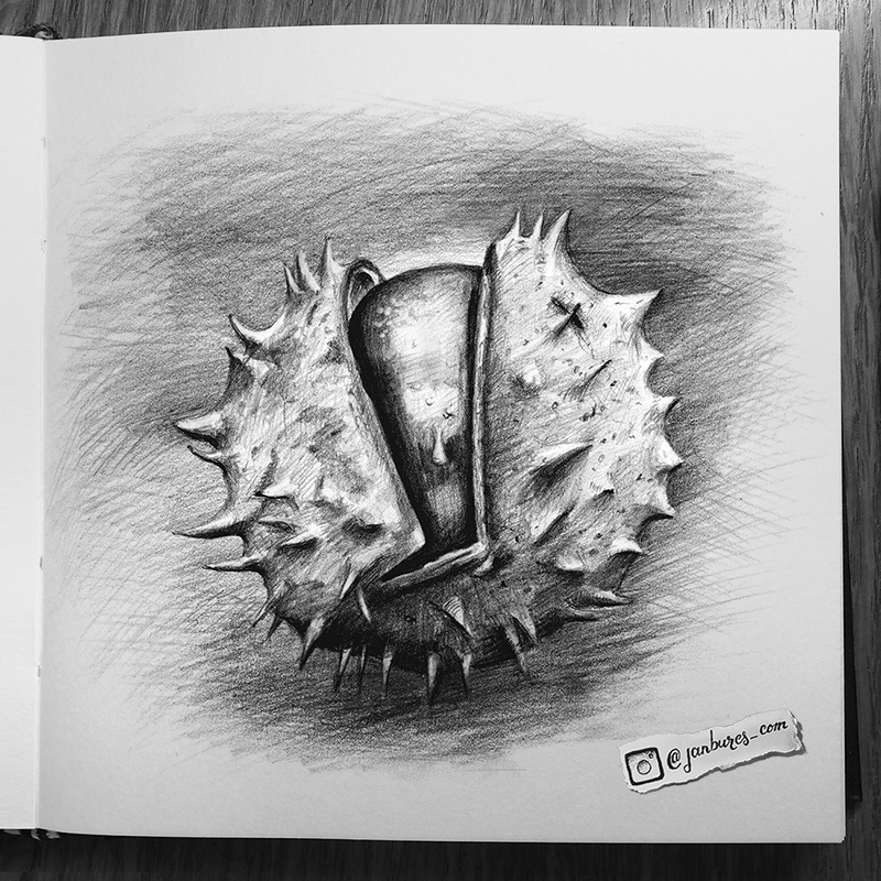 800x800 jan bures photography drawings - Chestnut Drawing