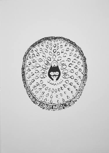 375x526 Stone Licker - Chestnut Drawing