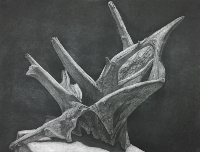 656x500 dramatic drawing chiaroscuro through a reductive approach - Chiaroscuro Drawing