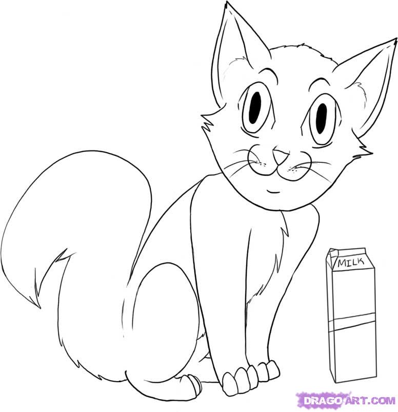 776x802 How To Draw A Chibi Cat, Step - Chibi Cat Drawing. 