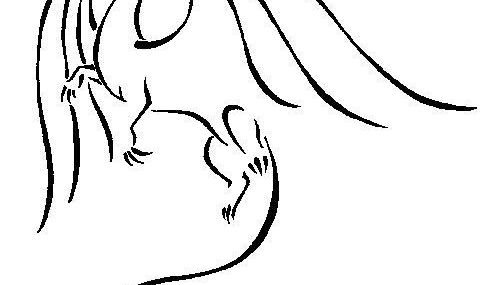 497x285 How To Draw A Chibi Dragon Lovely Wonderful Idea For Drawing - Chibi Dragon Drawing