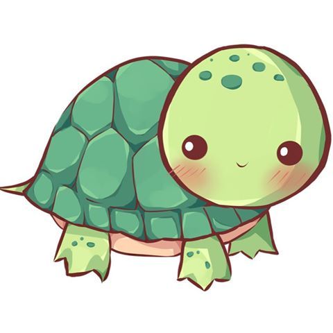 480x480 cute lil' turtle chibi turtle in cute turtle drawings - Chibi Turtle Drawing