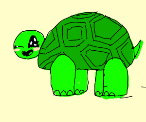 300x250 Chibi Turtle Drawing - Chibi Turtle Drawing