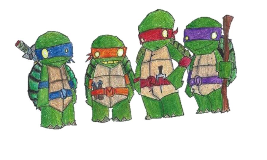 900x538 Chibi Ninja Turtles Drawing - Chibi Turtle Drawing