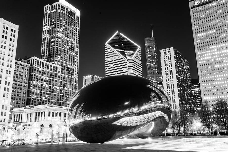 Chicago Bean Drawing at Explore collection of