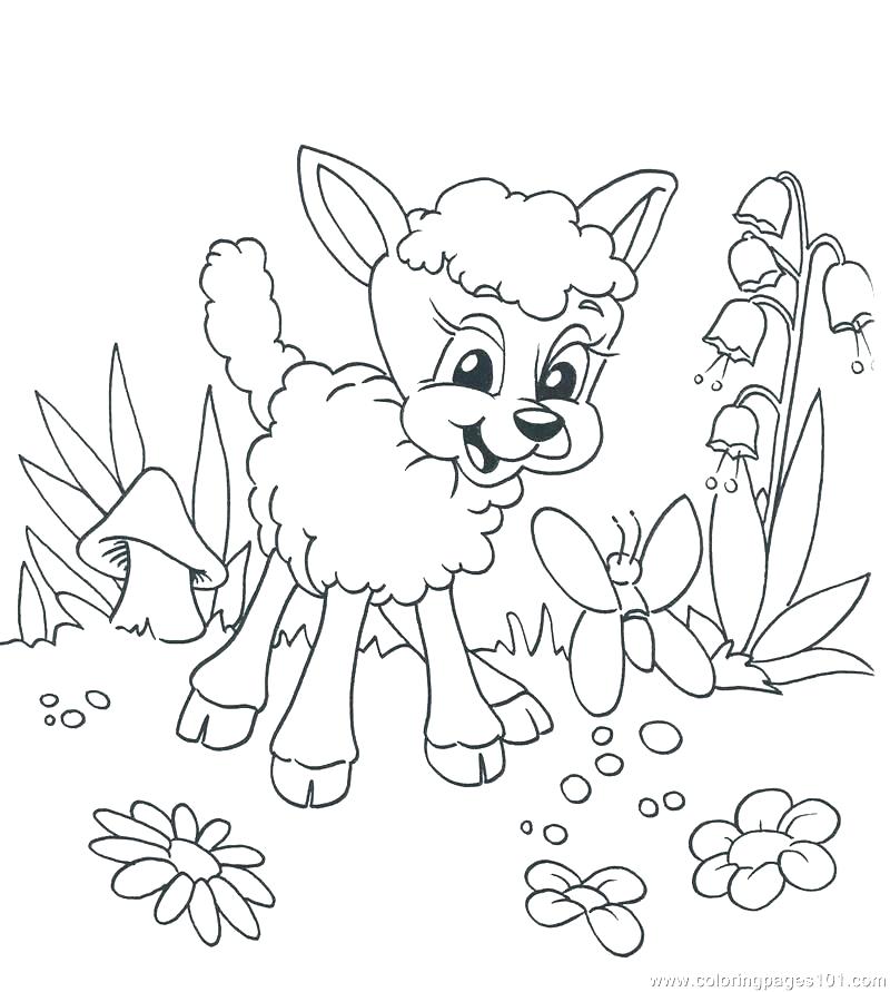 800x891 Chicka Chicka Boom Boom Coloring Pages Boom Boom Coloring - Chicka Chicka Boom Boom Drawing