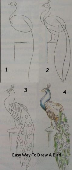 236x553 Easy Way To Draw A Bird Super For Chicka Chicka Boom Boom Guided - Chicka Chicka Boom Boom Drawing