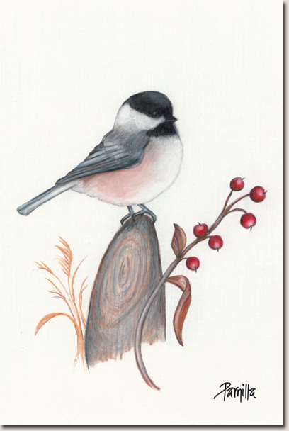 408x608 Chickadee Drawing - Chickadee Drawing