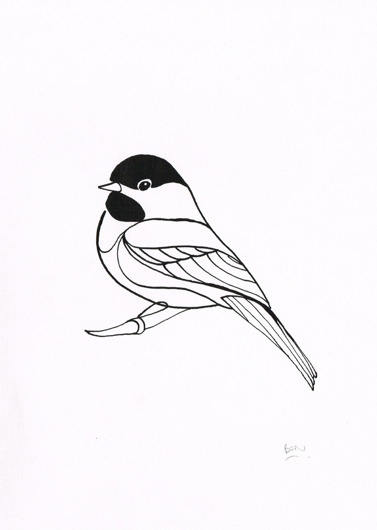 750x1054 Aka Ben The Illustrator Black Capped Chickadee - Chickadee Drawing
