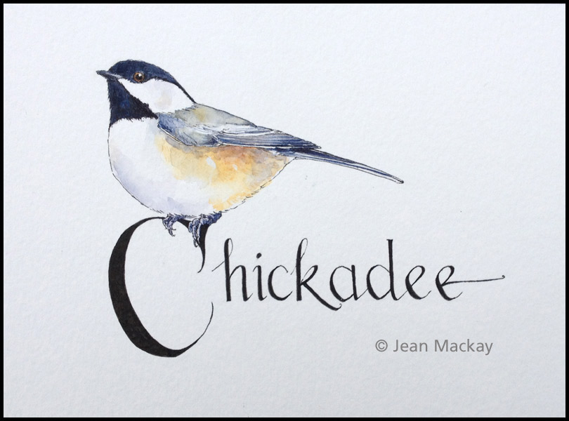 810x600 Black Capped Chickadee Drawn - Chickadee Drawing